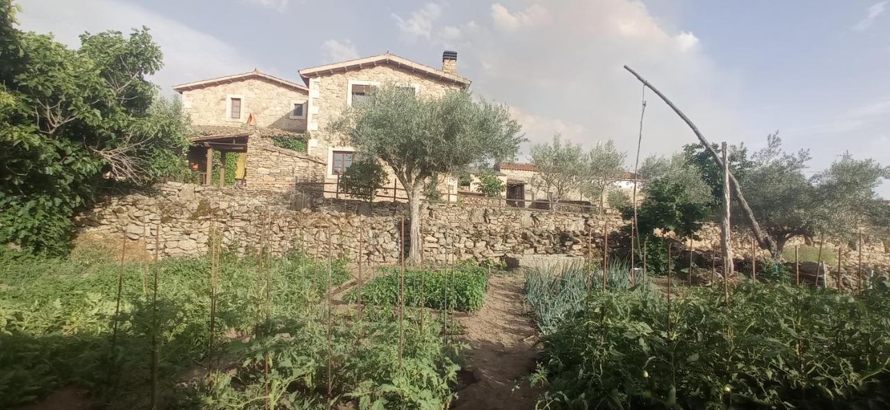 La Alqueria De Mamoles Guest House Екстериор снимка